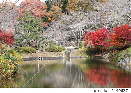 紅葉と桜 2140627