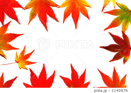 紅葉 2140976