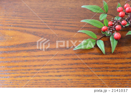 ナンテン２ 2141037