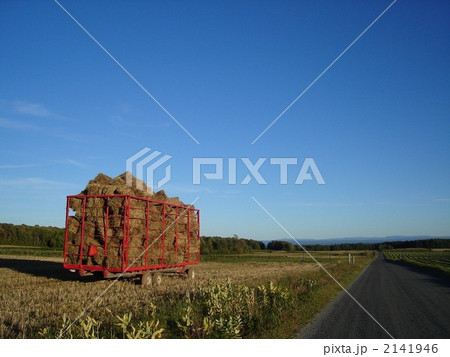 オルレアン島 2141946