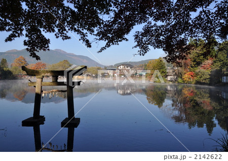 金鱗湖 天祖神社 鳥居 金鱗湖 天祖神社 鳥居 2142622