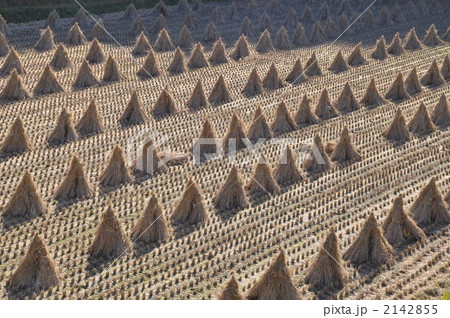 田舎の風景　こずみ 2142855