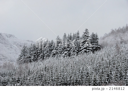 樹氷の山 2146812