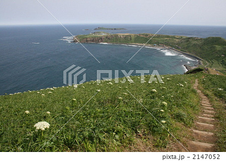 礼文島＿スコトン岬、トド島 2147052