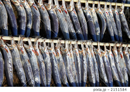 イワシの目刺し 2151584