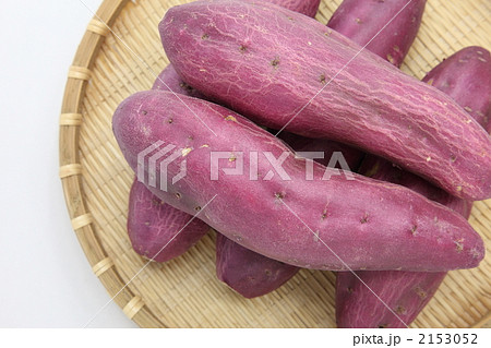 なると金時 2153052