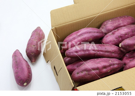 なると金時 なると金時 2153055