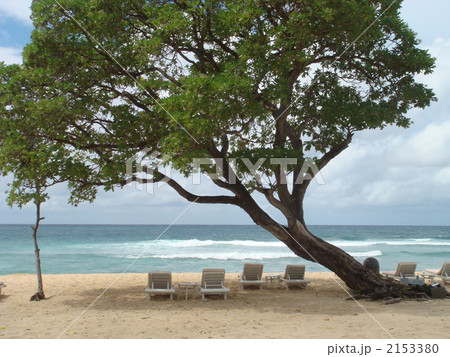 バリビーチ バリビーチ 2153380