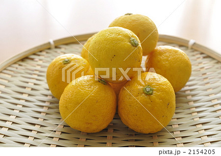 柚子 2154205