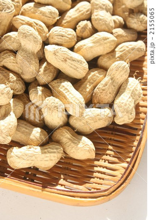 落花生 落花生 2155065