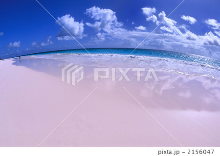 ピンクサンドビーチ ピンクサンドビーチ 2156047
