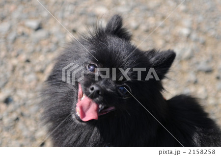 笑顔がすてき 2158258