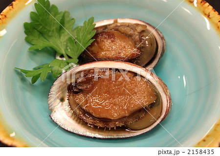 トコブシ 2158435