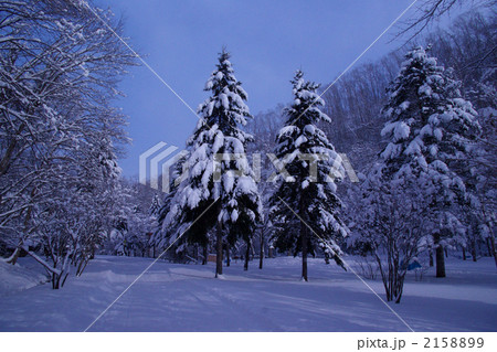 アシリベツの滝撮影付近 2158899