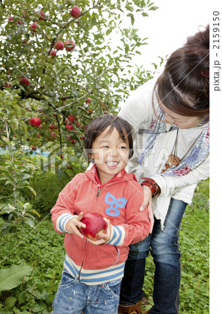 りんご狩り 2159150