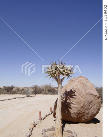 ナミブ砂漠 2159402