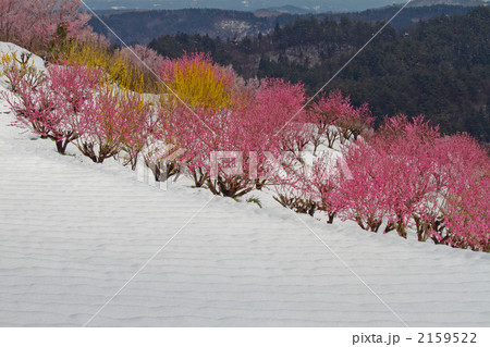 雪の桃源郷 2159522