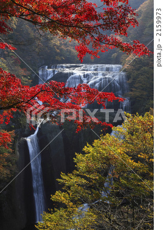 新観瀑台（第２観瀑台）から望む　袋田の滝　紅葉 2159973