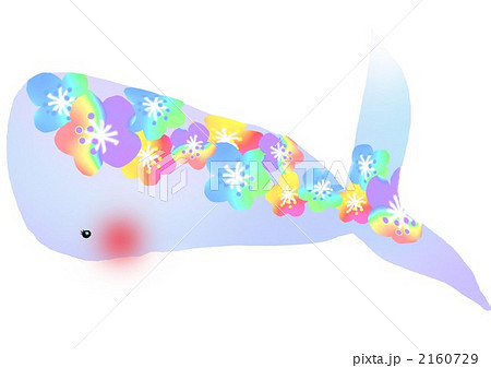 美しい花の画像 心に強く訴えるかわいい おしゃれ クジラ イラスト