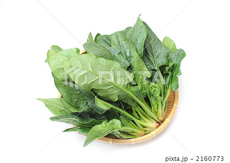 寒じめほうれん草 2160773