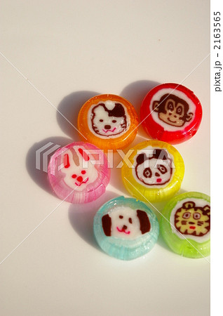 動物の金太郎飴 2163565