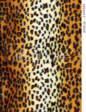 ヒョウ柄 ヒョウ柄 2164084