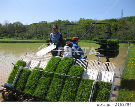 2010 田植え 2010 田植え 2165794