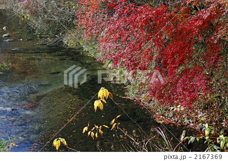 池山水源 池山水源 2167369