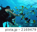 ボラボラ島 2169479