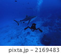 ボラボラ島 2169483