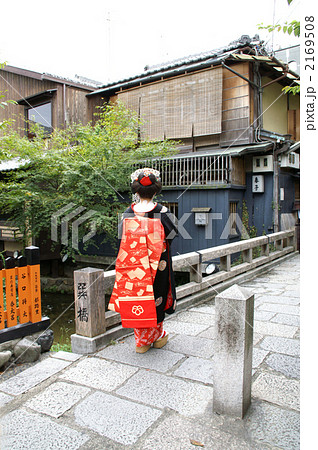 巽橋の舞妓　後ろ姿 2169508