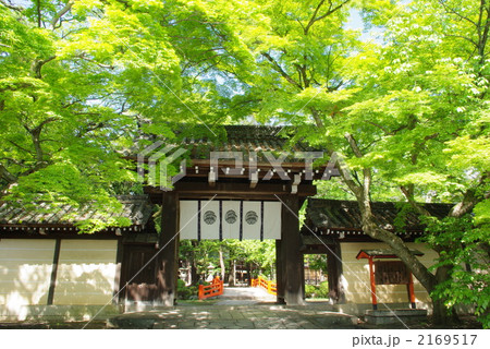 春の京都今宮神社 2169517
