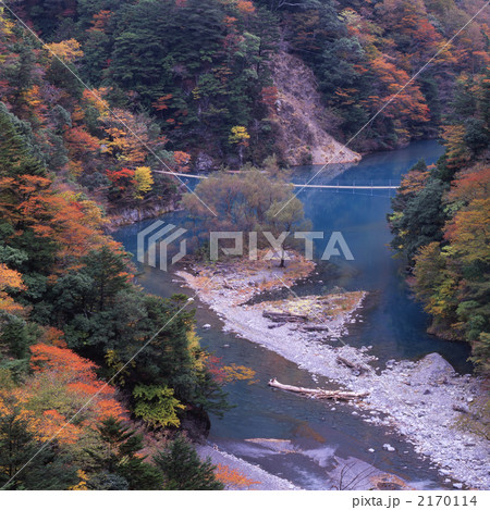 寸又峡の紅葉 2170114