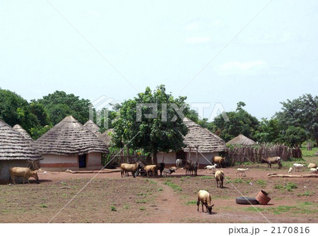 ギニアの地方の民家 2170816
