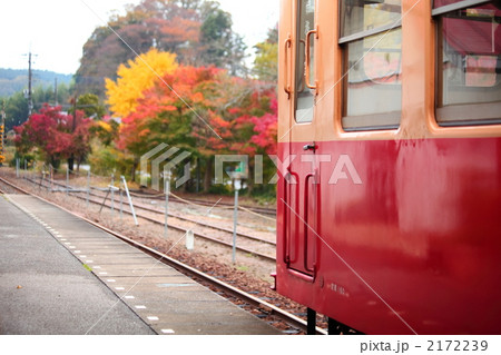 紅葉とローカル線 2172239
