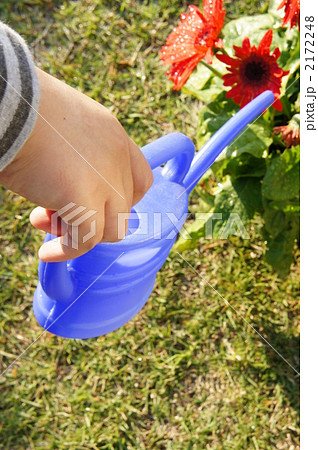 水やり 水やり 2172248