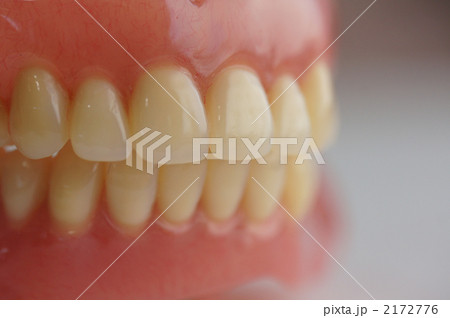 総義歯 2172776