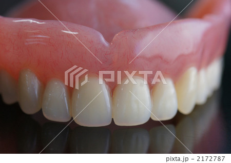 総義歯 総義歯 2172787