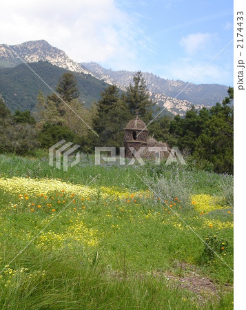 サンタバーバラ植物園 サンタバーバラ植物園 2174433