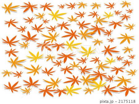 紅葉 紅葉 2175118