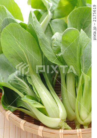 自家栽培の青梗菜 2175619