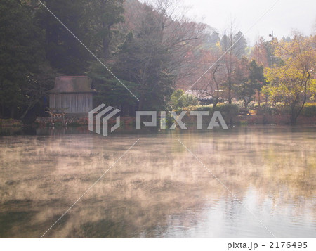 金鱗湖の朝霧 金鱗湖の朝霧 2176495