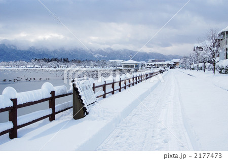 瓢湖の冬 瓢湖の冬 2177473