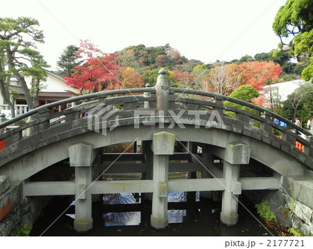 鶴岡八幡宮(鎌倉)の太鼓橋 2177721