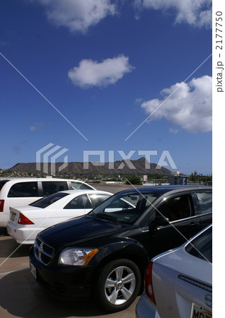 ダイヤモンドヘッド 2177750