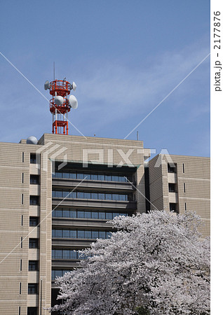 福井県庁 2177876