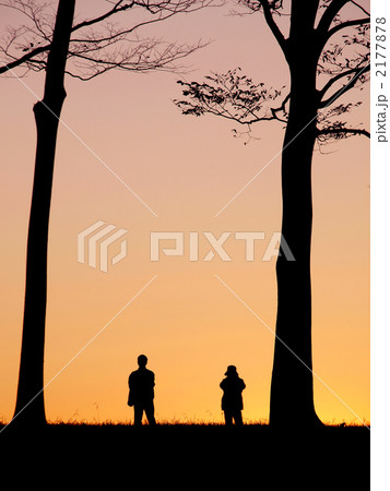 水元公園、中央広場夕景 2177878