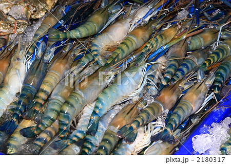 テナガエビ　バンコク　タイ王国　 2180317