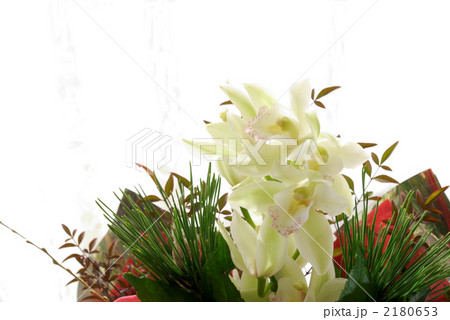 シンビジューム 2180653