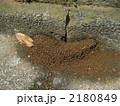 蟻の巣 2180849